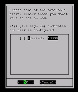 Configure a physical disk