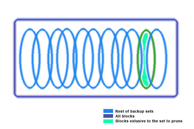 Prune blocks exclusive to one backup set