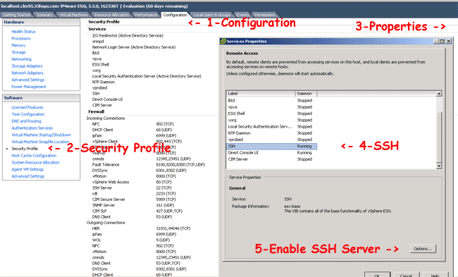 Enable the SSH daemon in a ESXi host