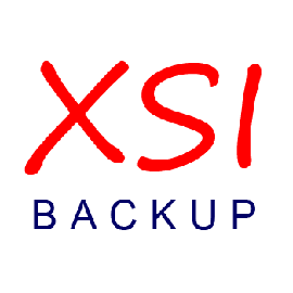 XSIBackup-rsync functioning