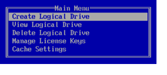 HP disk controller menu