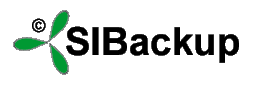 XSIBackup Logo